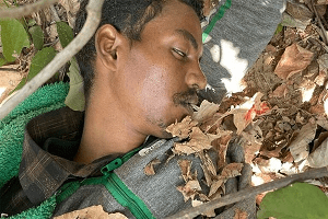 चतरा : पुलिस और नक्सलियों के बीच मुठभेड़,एक नक्सली मारा गया