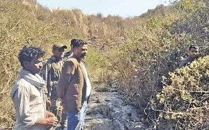 अवैध तरीके से कोयला निकालने के दौरान चाल धंसा, युवक की मौत