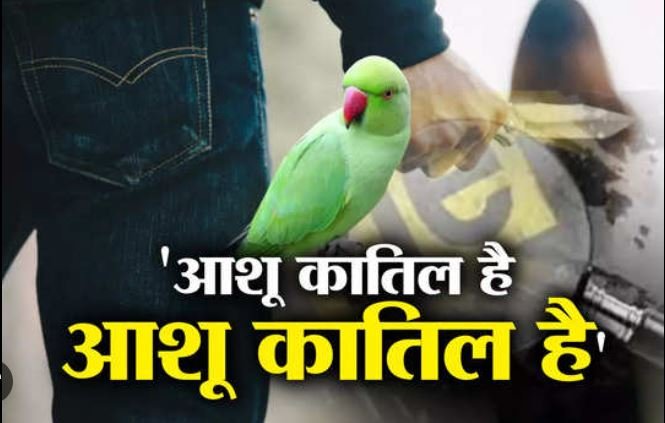 तोते की गवाही ने हत्यारों को 9 साल बाद पहुंचाया जेल