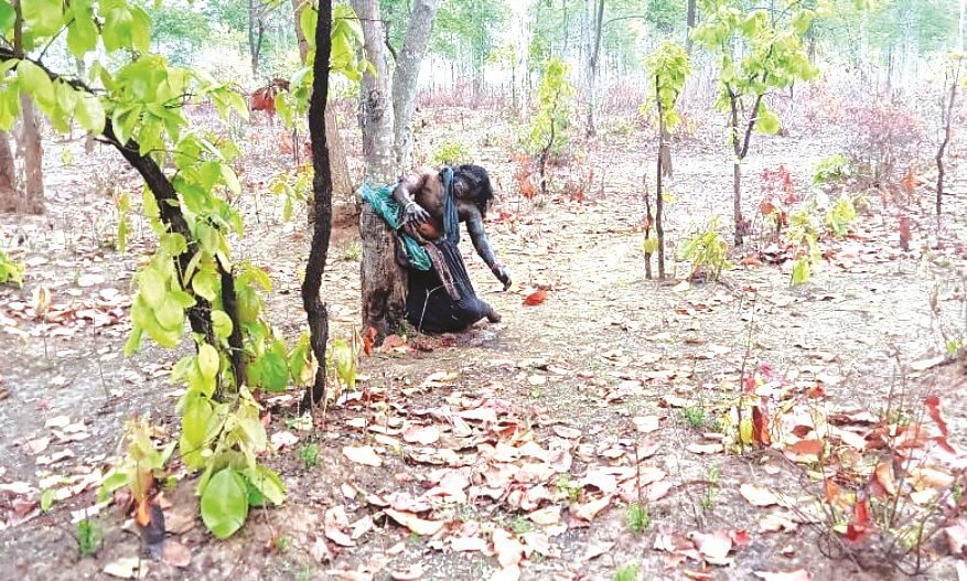 बूढ़ाचांच जंगल में पेड़ से बंधा मिला अज्ञात महिला का शव