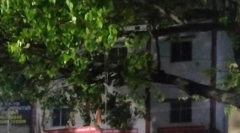 पीपल के पेड़ से लटका एक व्यक्ति का शव मिला