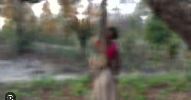 जंगल में पेड़ से लटका मिला विवाहिता का शव