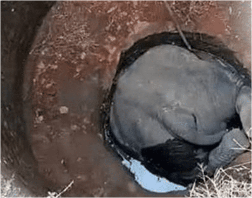 Bokaro News बोकारो न्यूज