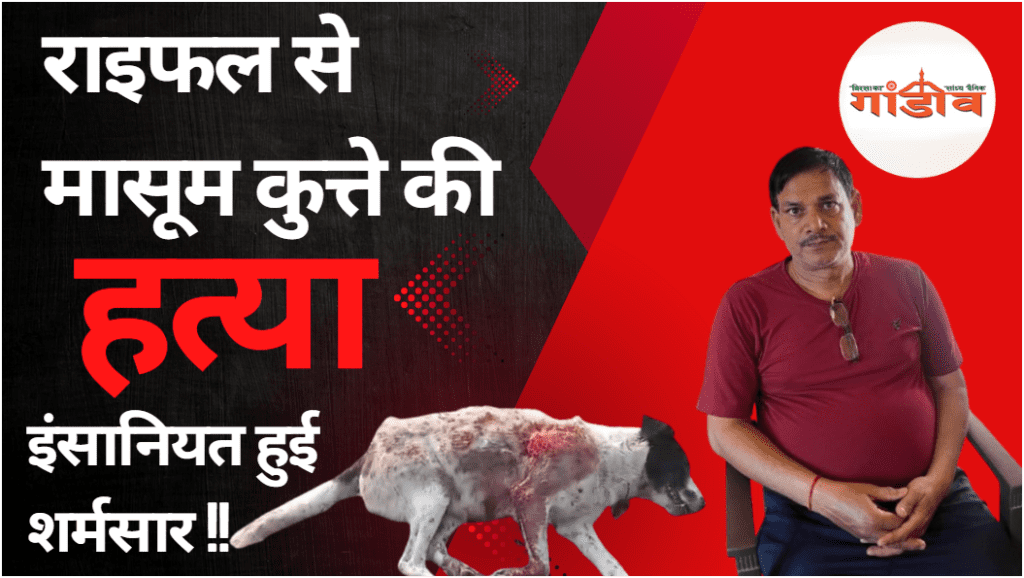 सड़क पर कुत्ते को गोली मारता युवक