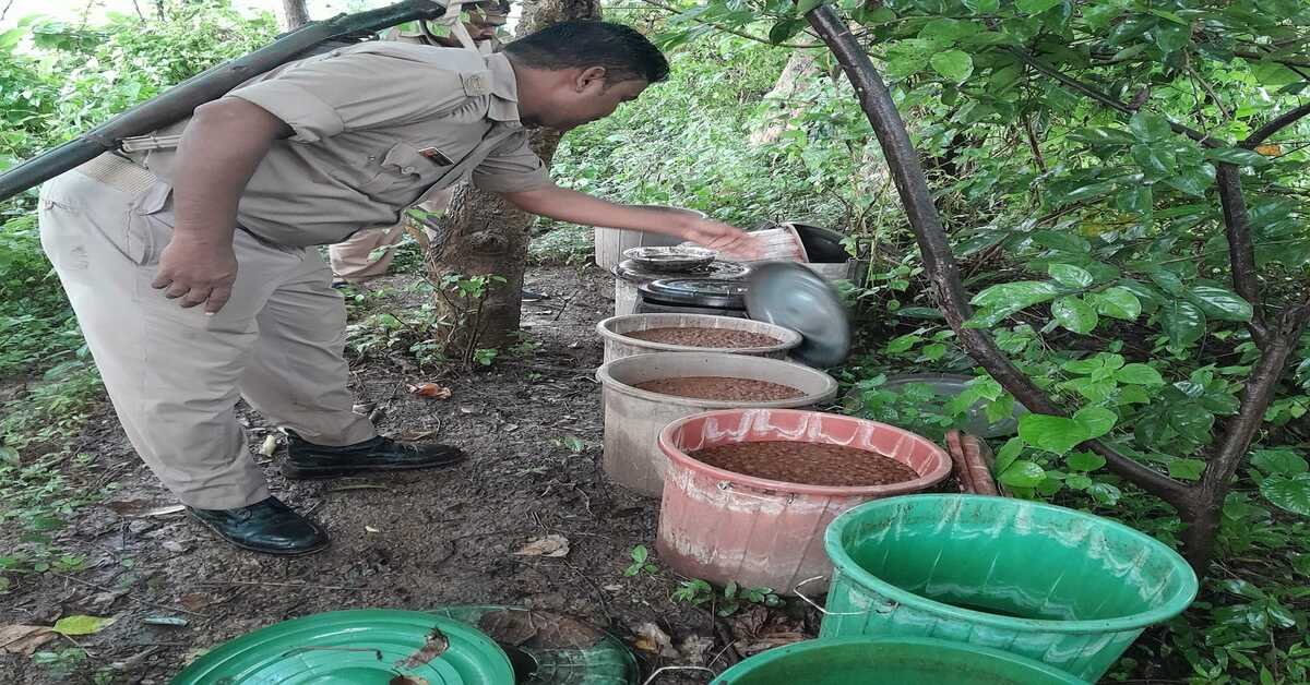 घाटशिला में अवैध शराब की पांच भट्ठियां नष्ट, पांच पर FIR दर्ज