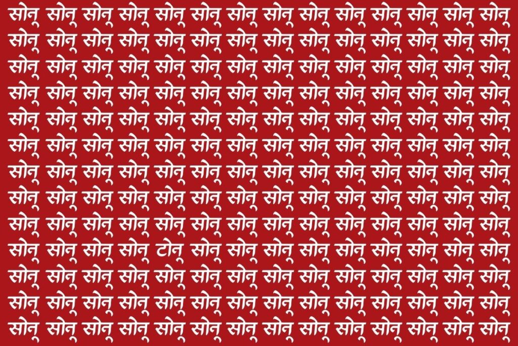 पहेलियों के बाजीगर ही सिर्फ ढूंढ पाएंगे इस फोटो में टोनू, 10 सेकंड के अंदर खोजने का है चैलेंज