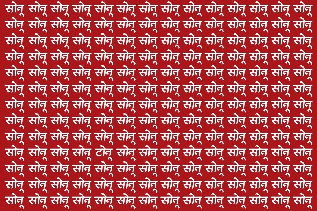 पहेलियों के बाजीगर ही सिर्फ ढूंढ पाएंगे इस फोटो में टोनू, 10 सेकंड के अंदर खोजने का है चैलेंज