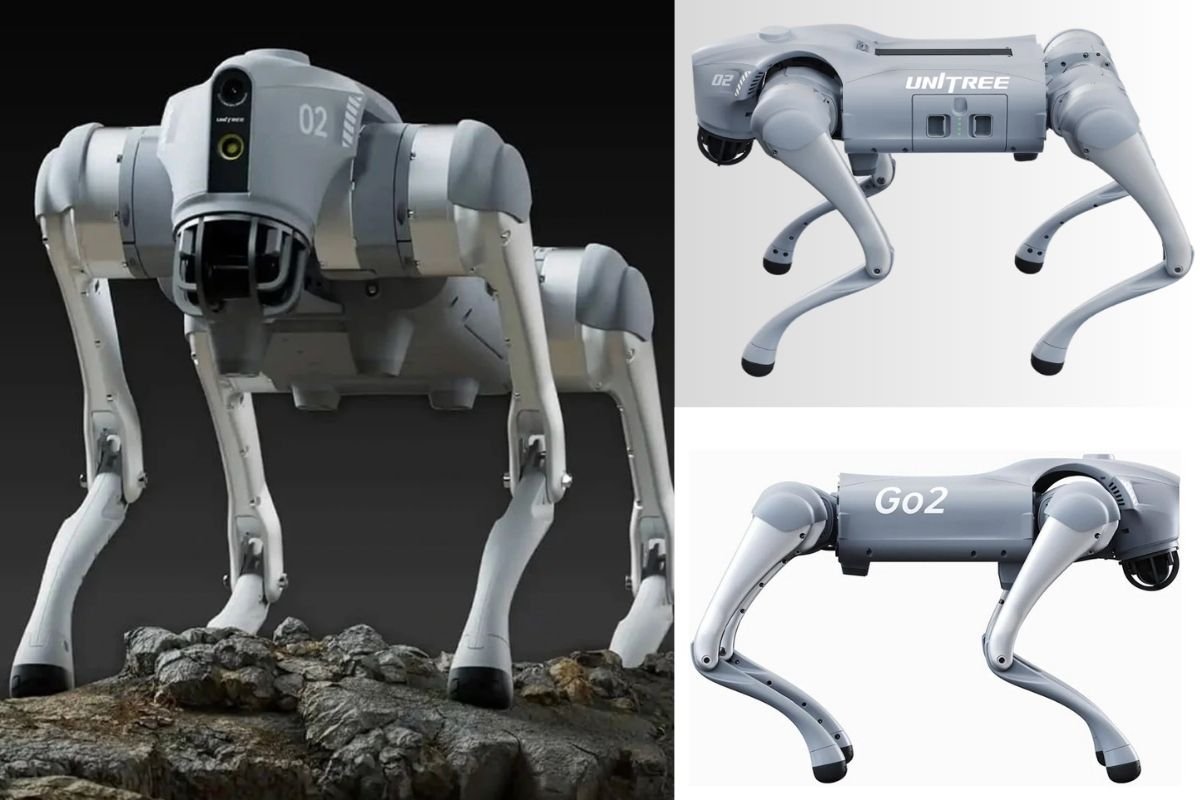 Orion या Unitree Go2! एआई समिट में विवाद की जड़ स्मार्ट रोबोट डॉग का असली सच क्या है?