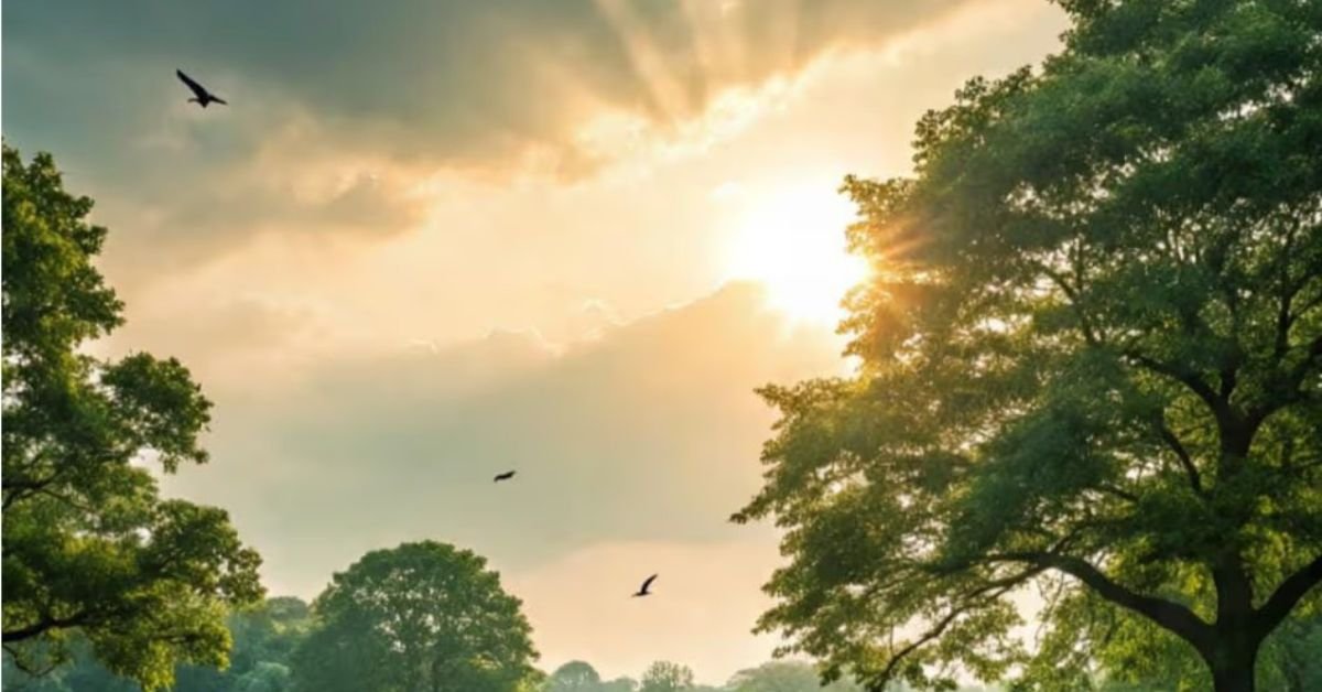 झारखंड मौसम अपडेट: तीन दिन तक बारिश, तेज हवाएं और बिजली गिरने का अलर्ट, IMD की चेतावनी जानें।