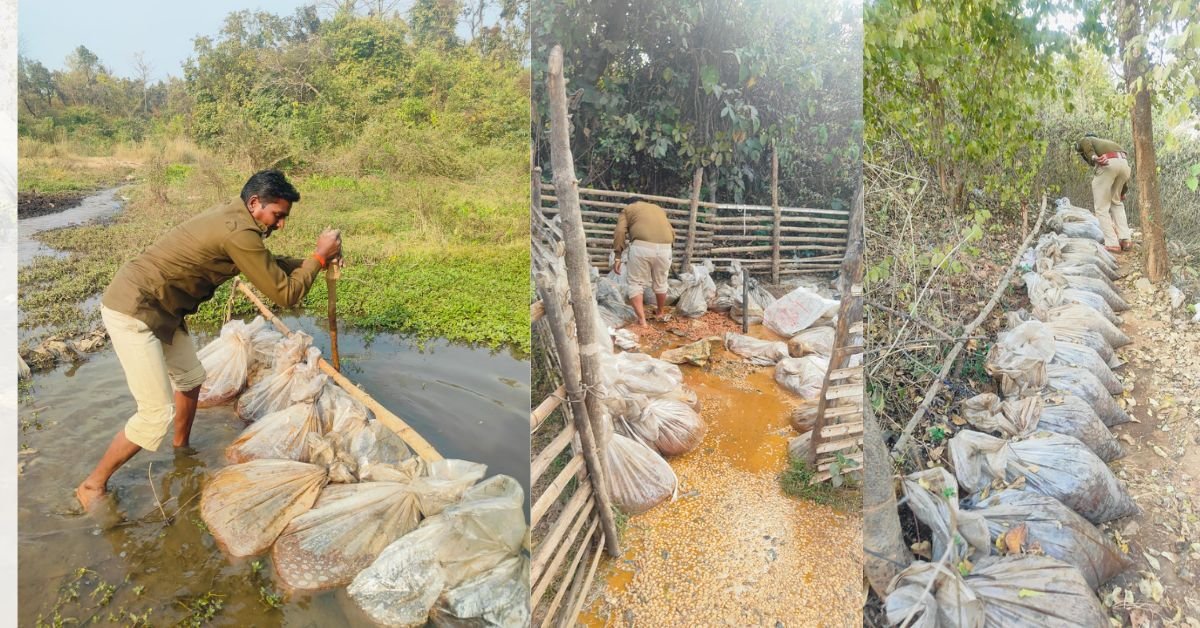 पश्चिम सिंहभूम में उत्पाद विभाग की छापेमारी: बंदगांव और मझगांव में देसी शराब भट्ठियों पर कार्रवाई, एक गिरफ्तार, एक फरार।