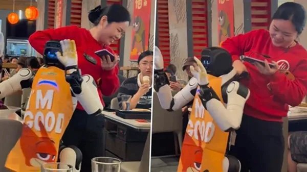 Dancing Robot Hired for Entertainment at California Restaurant Goes Haywire, Smashes Dishes; Raises Questions About Safety