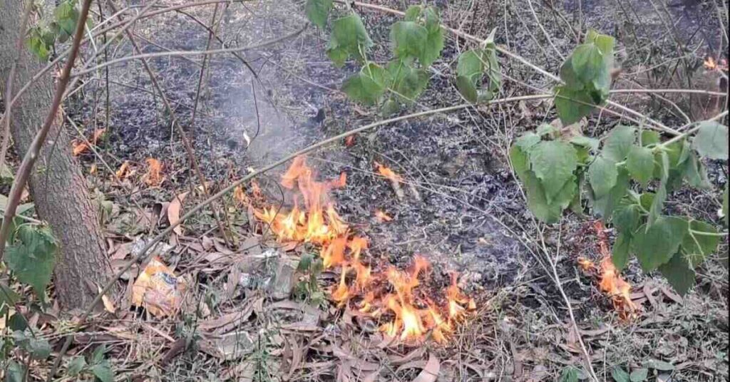Jamshedpur Fire: डोबो के जंगलों में भड़की भीषण आग, ग्रामीणों में दहशत
