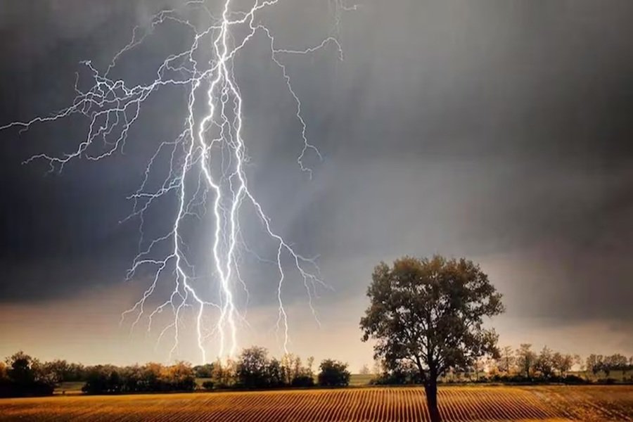 bijli17.jpg