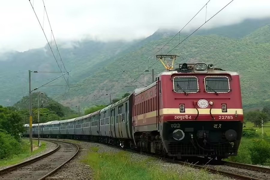 train39.jpg