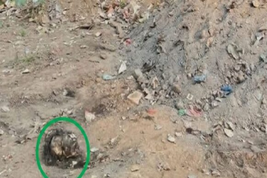 कोलको.jpg