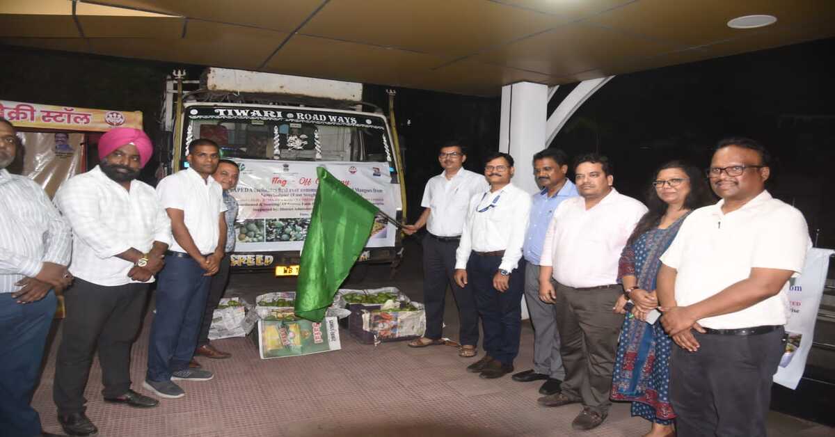 Jamshedpur Mangoes - पूर्वी सिंहभूम के आम पहुंचे अंतरराष्ट्रीय बाजार, लंदन के लिए पहली खेप रवाना