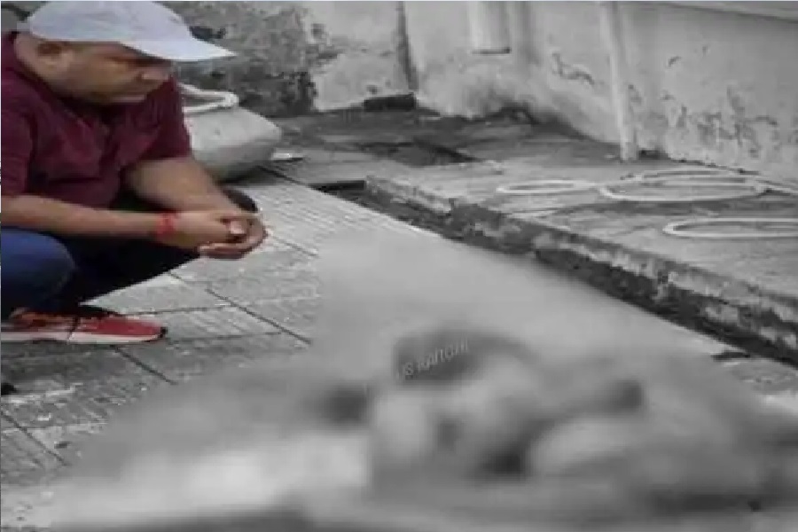 हजारीबाग के मत्स्य विभाग के परिसर में मिला खून से सना शव