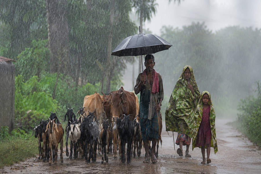 RAIN271.jpg