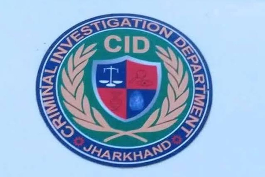 cid4.jpg
