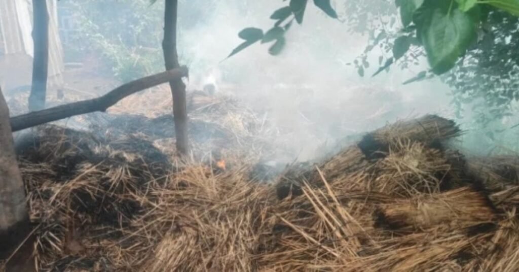 Kiriburu Fire News : किरीबुरू के मुर्गापाड़ा की खटाल में लगी भीषण आग, हजारों रुपये की पुआल जलकर राख, बड़ा हादसा टला