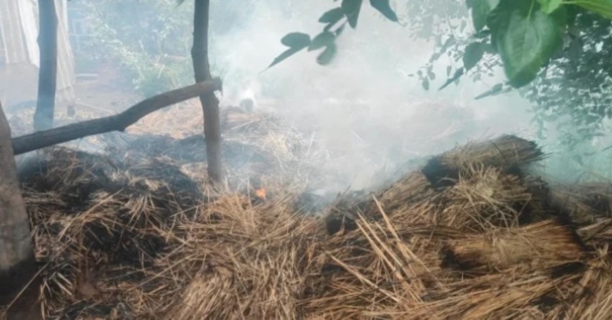 Kiriburu Fire News : किरीबुरू के मुर्गापाड़ा की खटाल में लगी भीषण आग, हजारों रुपये की पुआल जलकर राख, बड़ा हादसा टला