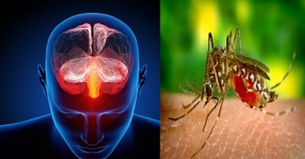 Jamshedpur Health News: जादूगोड़ा में ब्रेन मलेरिया से एक और युवक की मौत, जिले में मरने वालों की संख्या हुई 9
