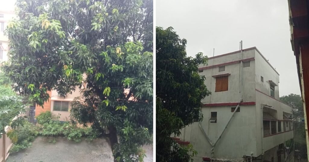 Heavy Rain in Jharkhand : रांची समेत 12 जिलों में भारी बारिश का अलर्ट, 70 किमी की रफ्तार से चल सकती है हवा, 20 जुलाई तक सक्रिय रहेगा मानसून