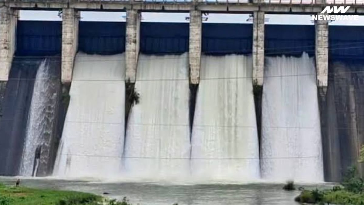 लगातार बारिश से रांची के तीनों डैम लबालब, कई बड़े डैमों के फाटक खुले; राजधानी में जगह-जगह जलजमाव