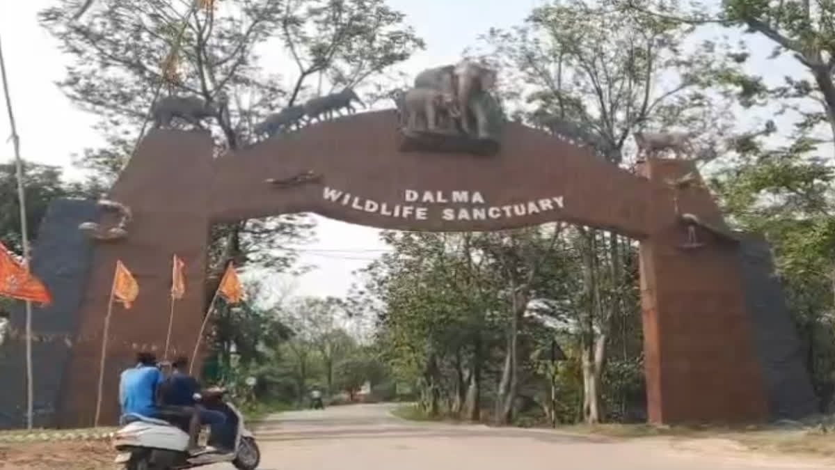 ईएसएल प्लांट में जहरीली गैस की चपेट में आने से दो मजदूरों की मौत